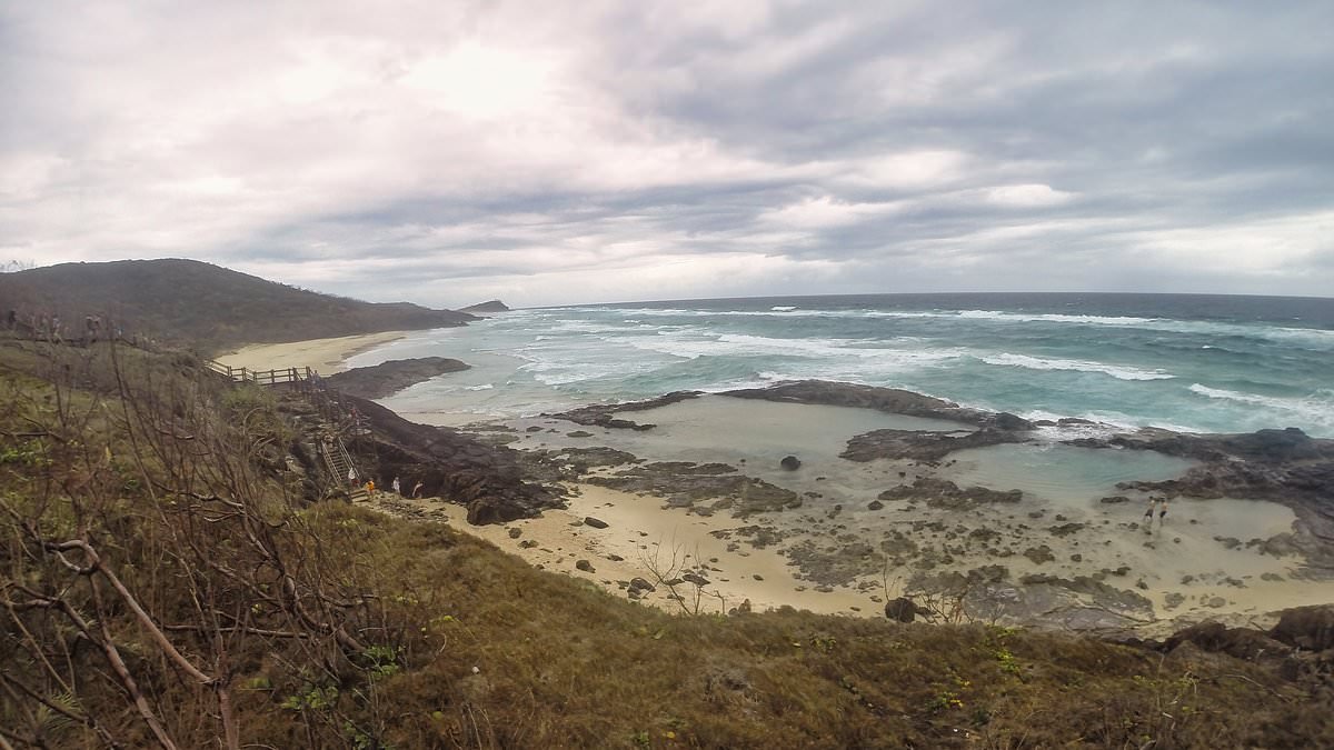 Canadian woman is found dead surrounded by dingoes on K'gari