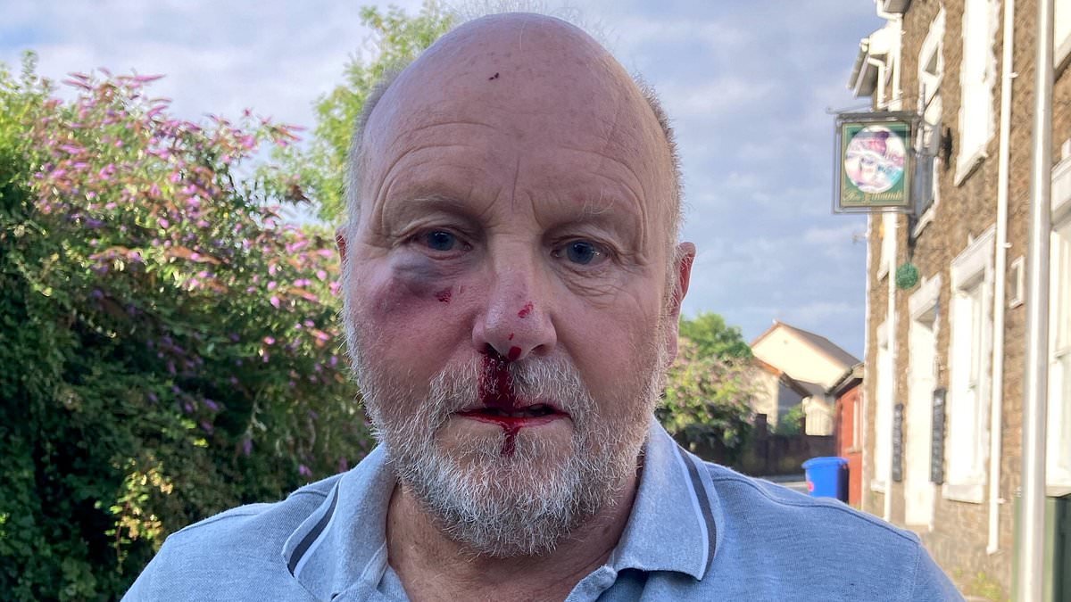 Road rage van driver who fractured grandfather's cheek and eye socket when he punched him for obeying 20mph speed limit avoids prison