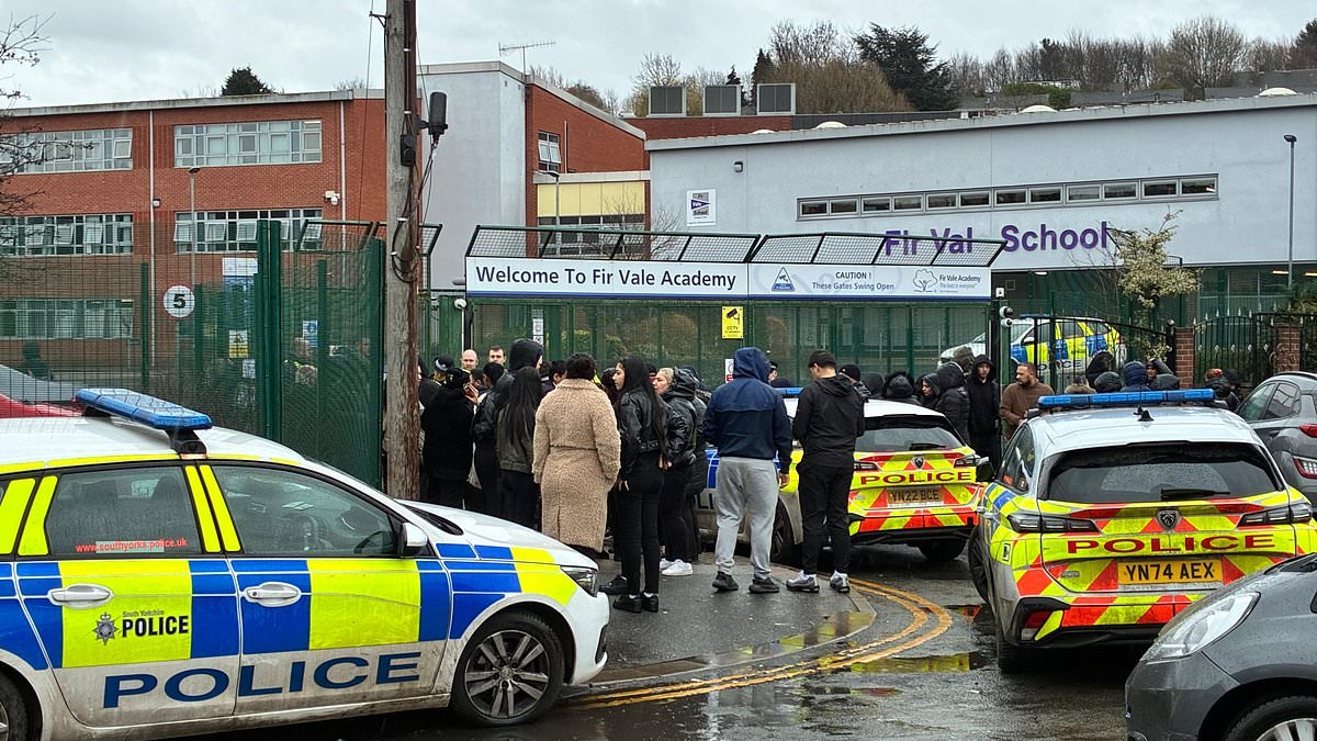 School fight caused by 'community tensions' says head teacher after one teacher was sent to hospital and others injured as pupils fought running battles across grounds