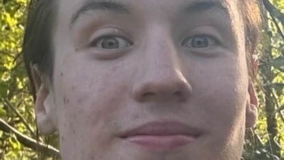 Pictured: Man, 21, stabbed to death after fight broke out on Primrose Hill 'as crowds enjoyed the sunshine'