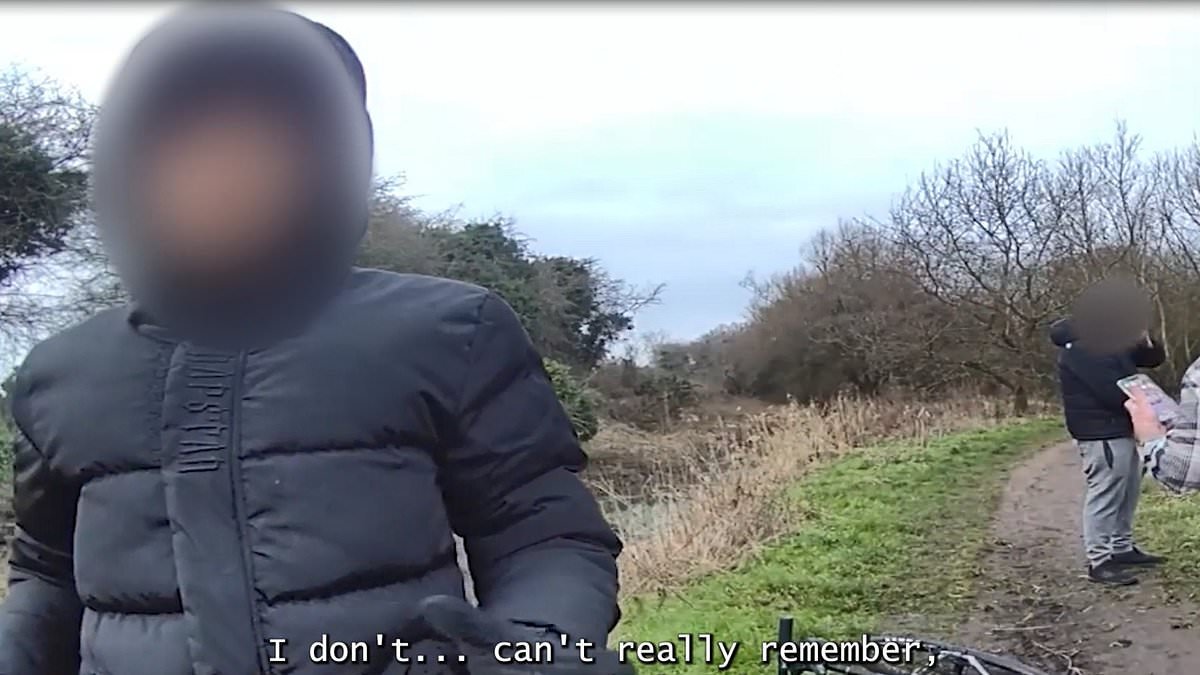 Family's fury over teenage killer's 13-year prison sentence: Leo Ross's mother says jail term of teenage thug who stabbed son, 12, is a 'joke' and why 'kids are killing kids'