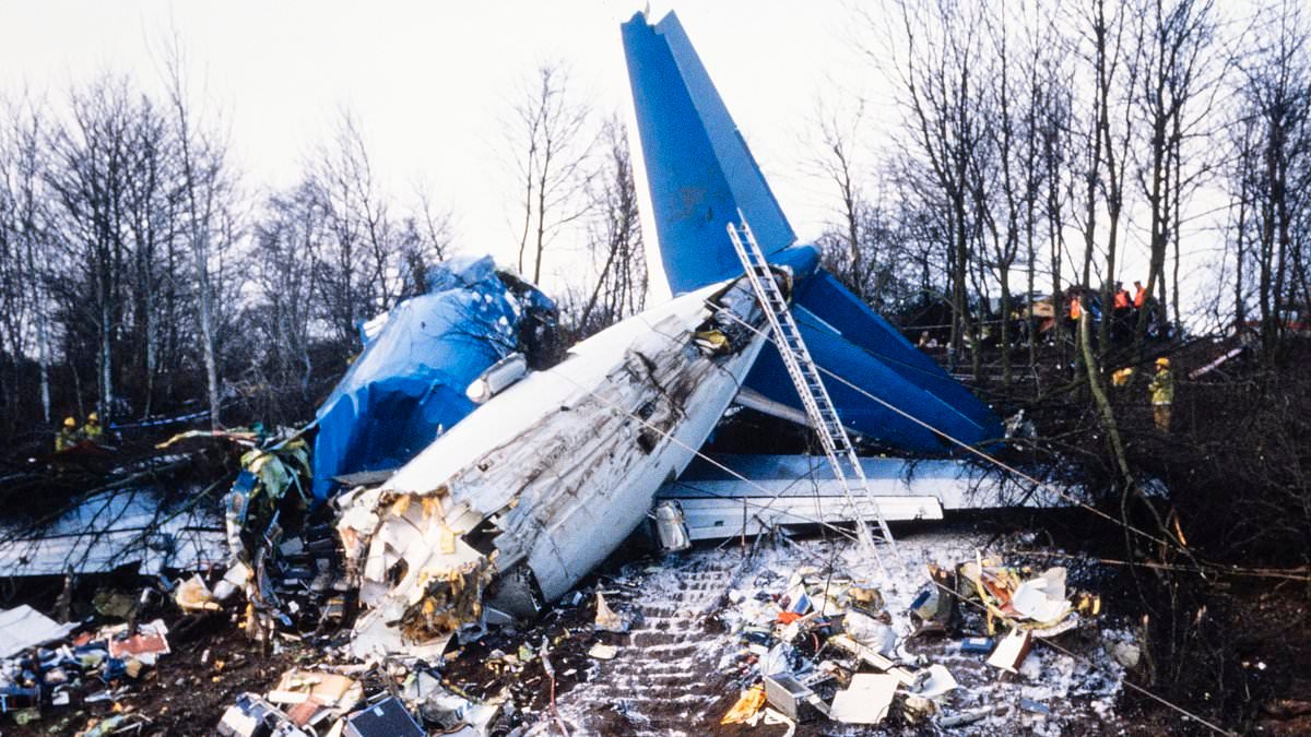 'Shuddering... then silence as plane came down without any engines': Survivor of one of UK's worst air disasters recalls moment flight plunged onto M1 killing 47 people