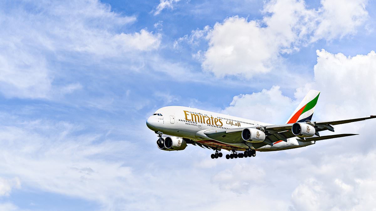 Tourists heading to the Middle East warned about scammers impersonating airline support accounts