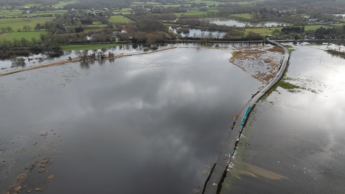 Britain on flood alert: More than 300 areas at risk of rising water levels as relentless downpours continue as South West is hit with another weather warning for heavy rain