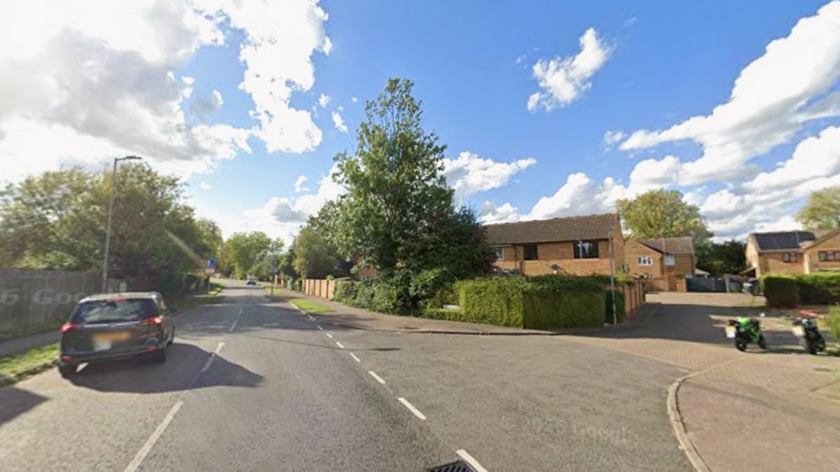 Female 'Thai' sex attacker targets another man in his 70s by groping the OAP and stealing gold chain - days after pensioner said he was assaulted and had Rolex watch stolen