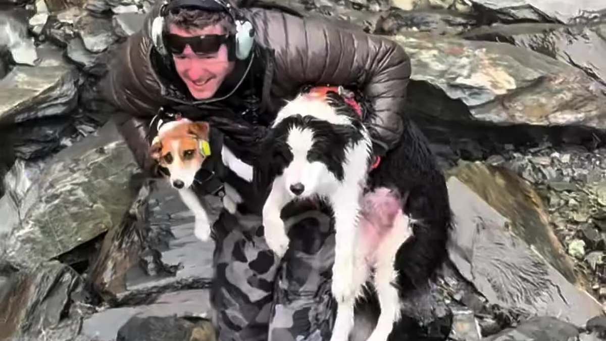 Incredible moment loyal Border Collie is found ALIVE a week after she disappeared when her owner fell 55 metres down a waterfall