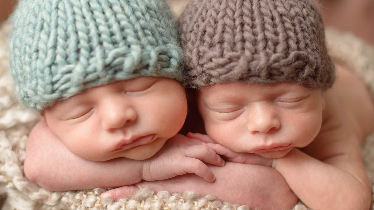 I thought I was helping to build a beautiful family as a surrogate. Then at 27 weeks pregnant with twins, the parents said they didn't want the babies… I'm just one of many women exploited in the 'Wild West' world of surrogacy