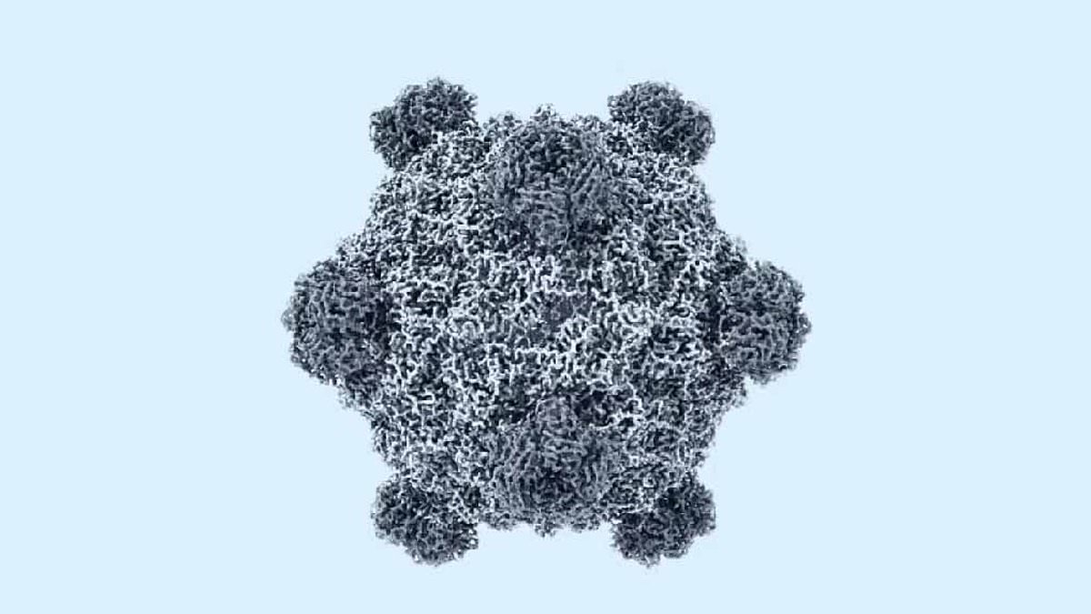 Lab-grown LIFE takes a major step forward - as scientists use AI to create a virus never seen before