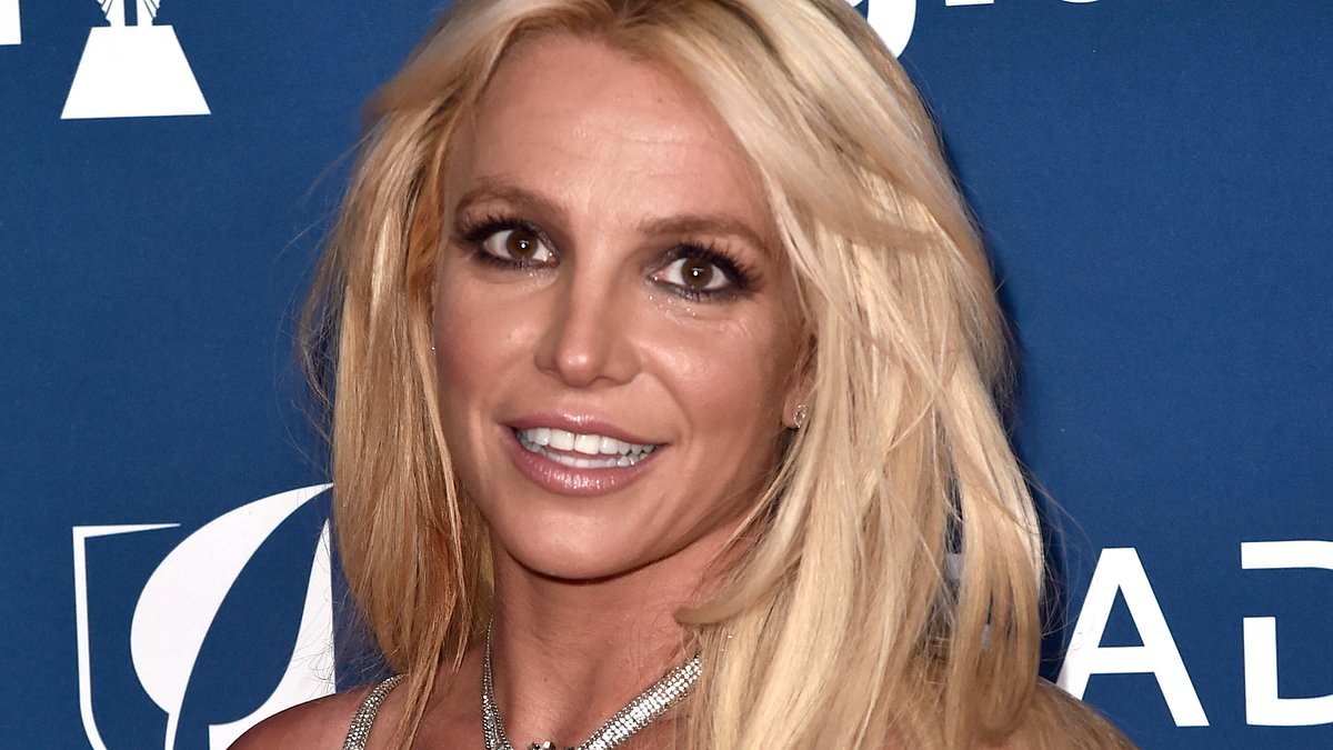 Britney Spears breaks her silence three weeks after DUI arrest as she looks healthy alongside her son Jayden
