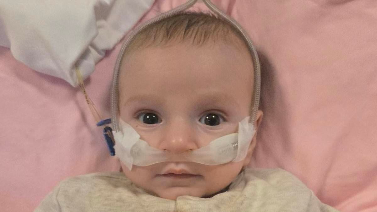 NHS trust agrees to give 'life-saving surgery' to British baby who has days to live following desperate campaign by his parents to get him out of Turkish hospital