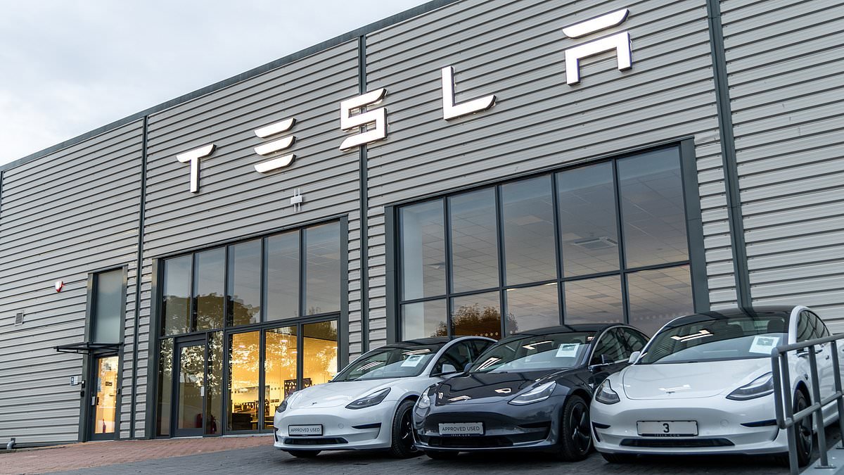 Tesla UK sales plunge 57% as Chinese rival BYD sold twice as many EVs amid shrinking new battery demand in January
