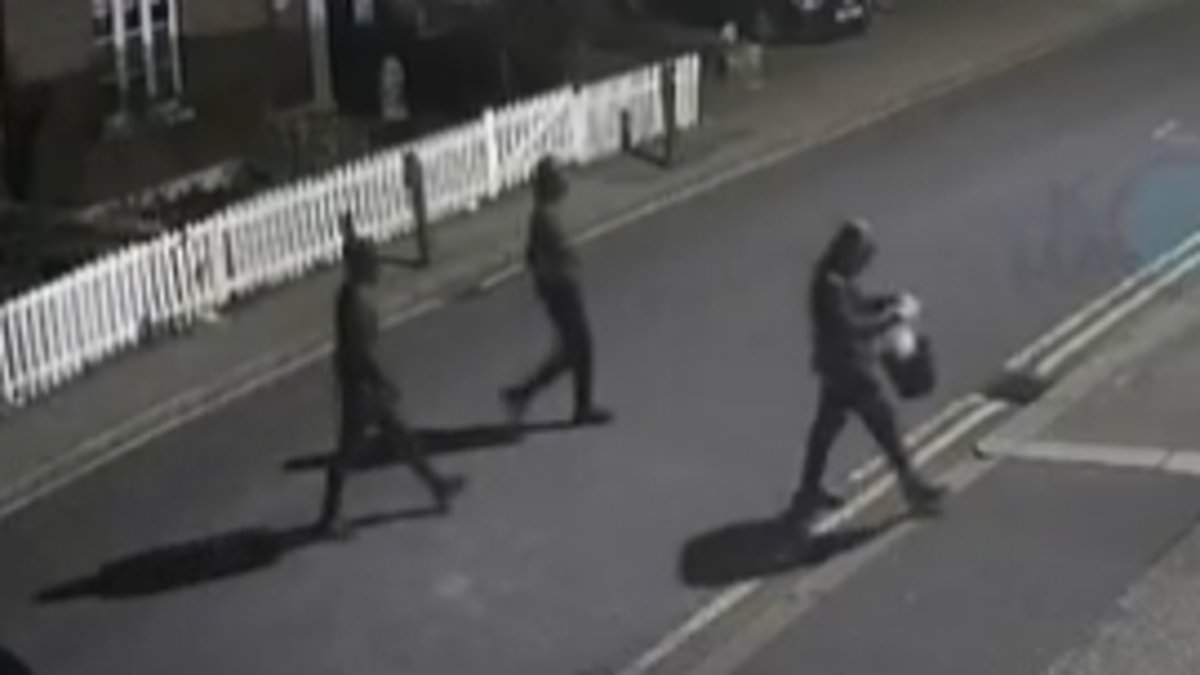 The Iran-backed sleeper cell claiming responsibility for Golders Green ambulance firebombing as counter terror cops lead hunt for three suspects