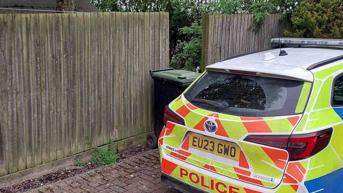 Woman, 19, dies after dog attack as man, 37, is arrested for being in charge of out-of-control animal