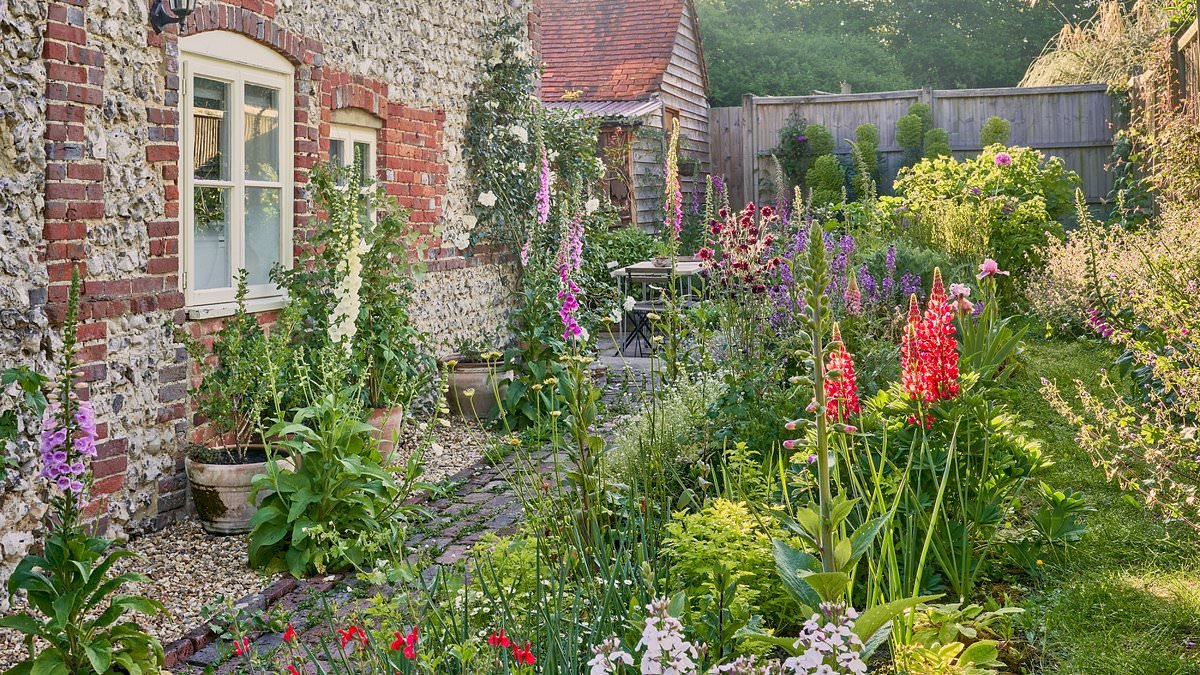 Garden jobs you must do in February to get ahead of growing season - what to buy, plant and prep for a luscious Spring lawn and flower beds according to an expert