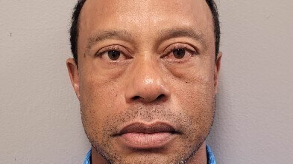 Secret Service 'BANNED Tiger Woods from driving Trump's grandkids,' it emerges after golf legend's DUI arrest