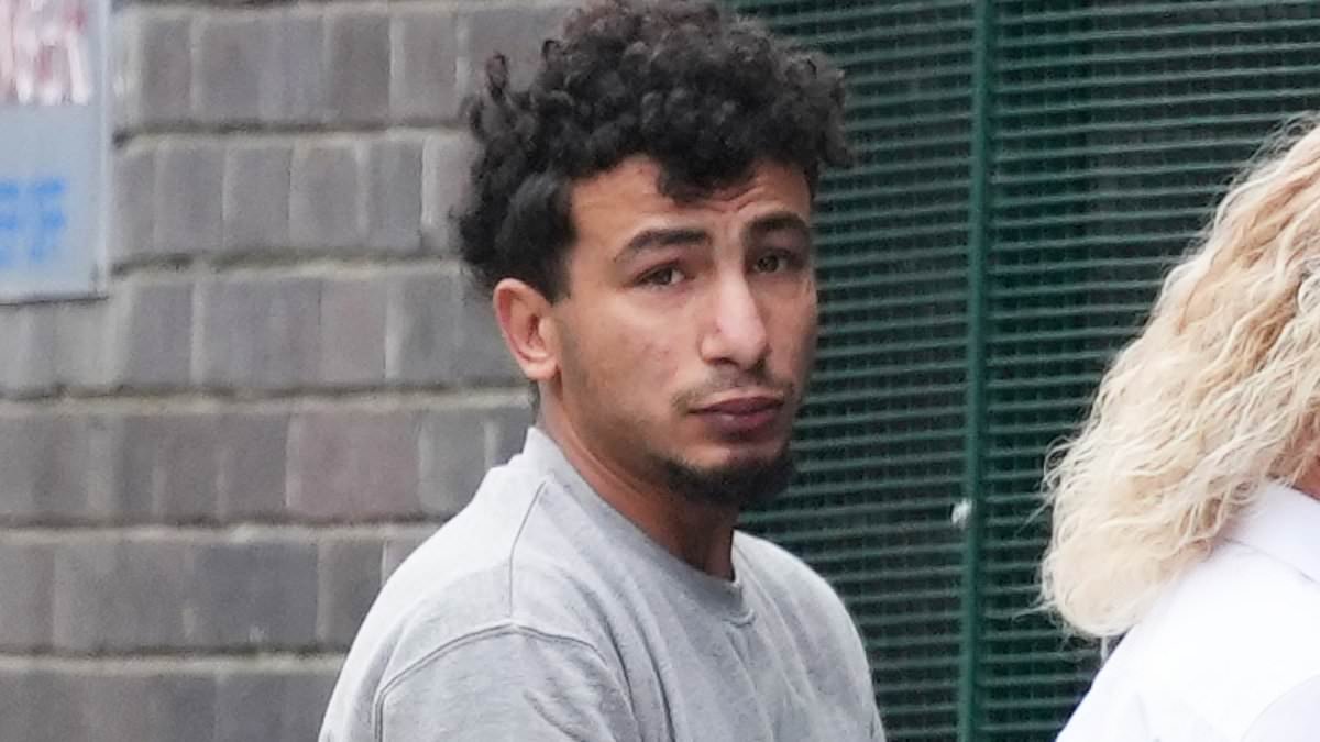 Asylum-seeker who 'gang-raped woman on Brighton Beach' is 'nasty little predator' who treated victim like 'trash', court hears