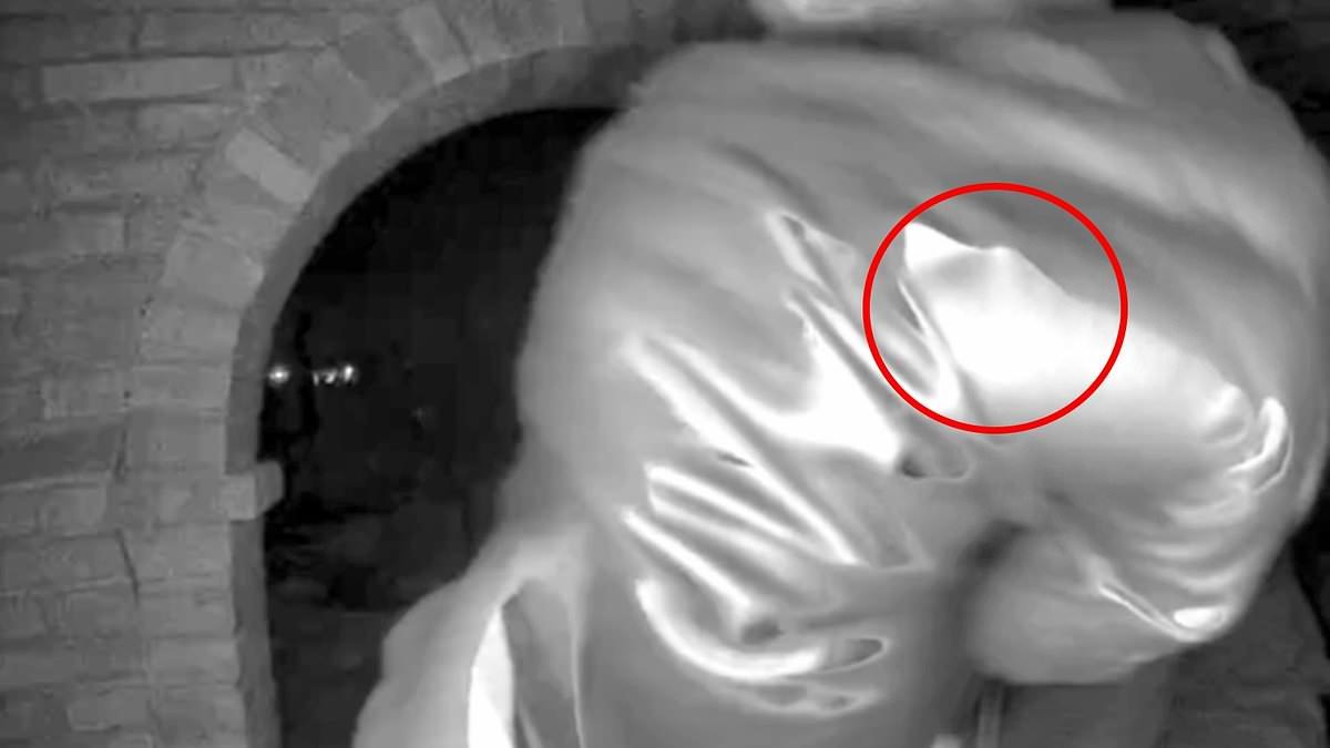 Nancy Guthrie cops investigate abductor's 'pinky ring' spotted under glove in doorbell footage as NEW 'sophisticated' ransom note comes to light