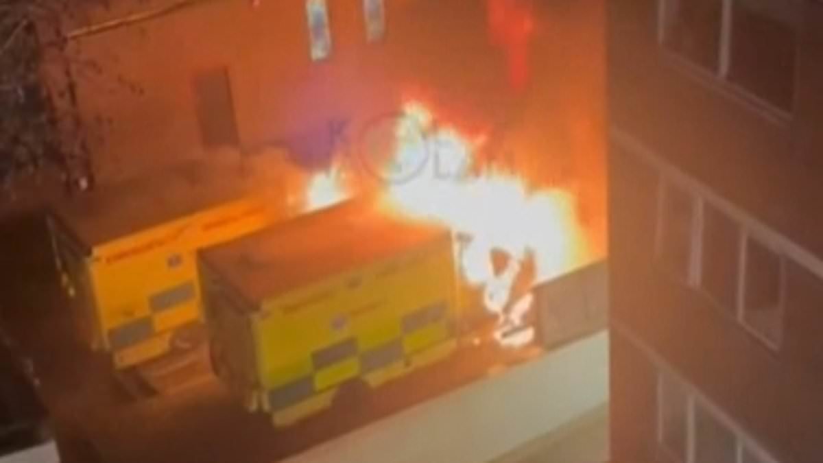 British men arrested over Golders Green arson attack on Jewish ambulances are released on bail