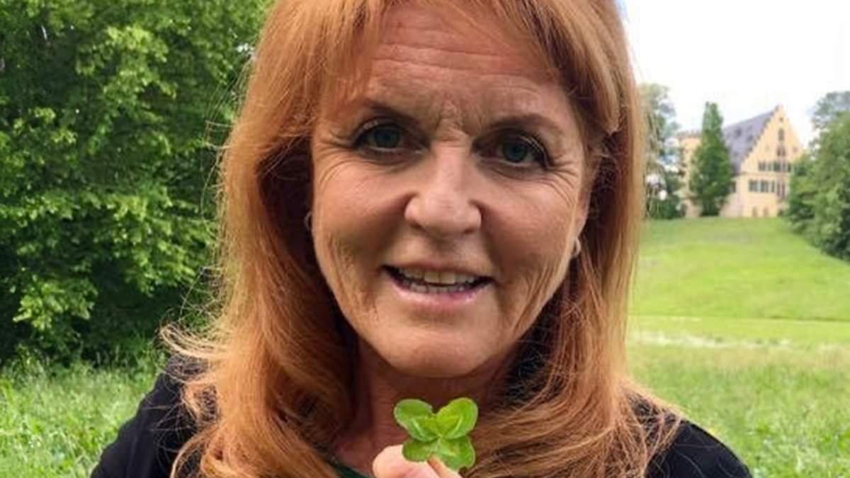 Where's Fergie? The publicity-loving ex-duchess was last spotted on December 12. From Priscilla Presley's LA guest house to an old flame's mansion in Wiltshire, BARBARA DAVIES track the clues...