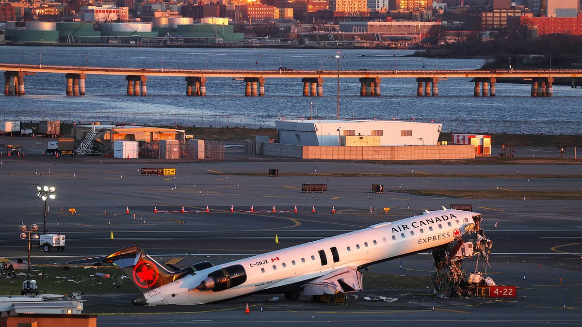 Terrified pilot had chilling LaGuardia Airport premonition and begged 'Please do something!' months before deadly runway crash