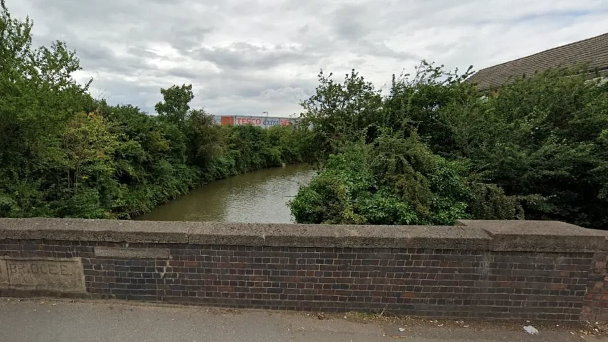 Girl, 17, is raped and sexually assaulted as canal is cordoned off and teenagers aged 17 and 18 are charged