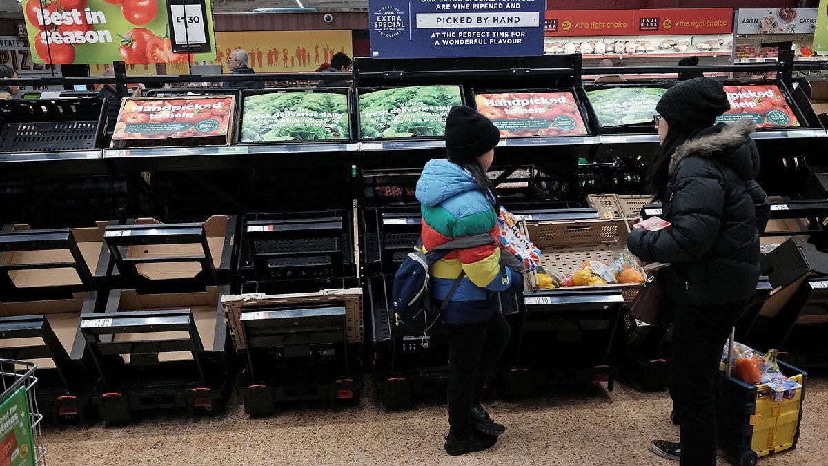 'Tinderbox' Britain is 'one shock away from food riots' as experts warn empty shelves caused by cyber-attacks and extreme weather could lead to civil unrest