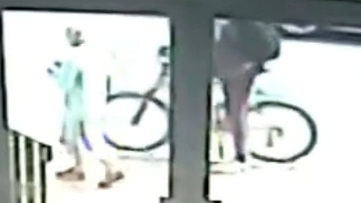 Moment 'callous' thug sends pensioner crashing to the ground as he is jailed for snatching her handbag