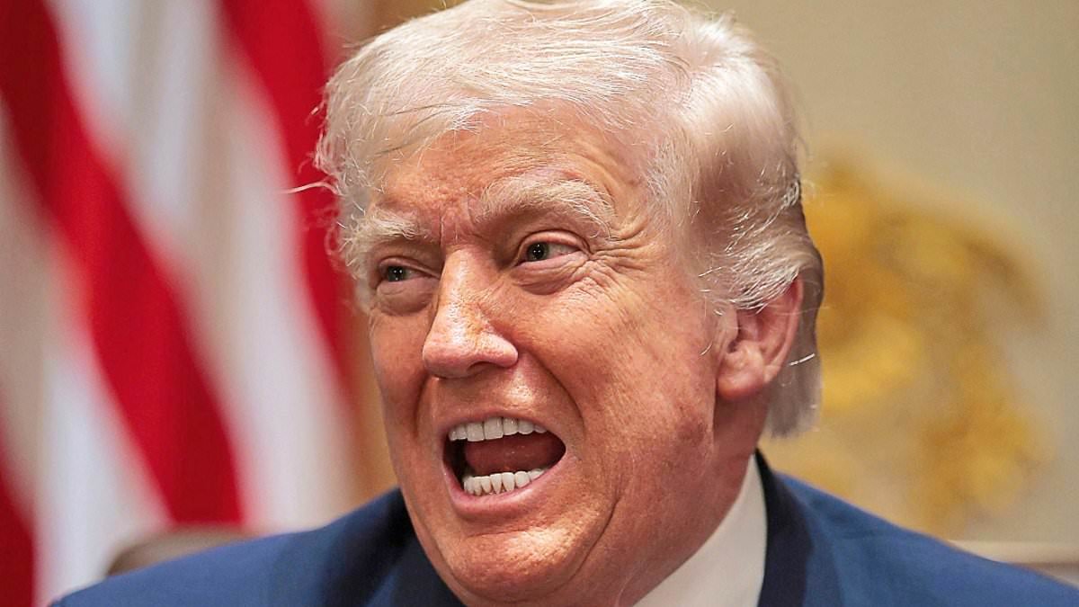 'Churchill would have sacked the lot of them': Donald Trump brutally mocks Royal Navy's 'toy aircraft carriers' as Britain is forced to beg Germans for warship