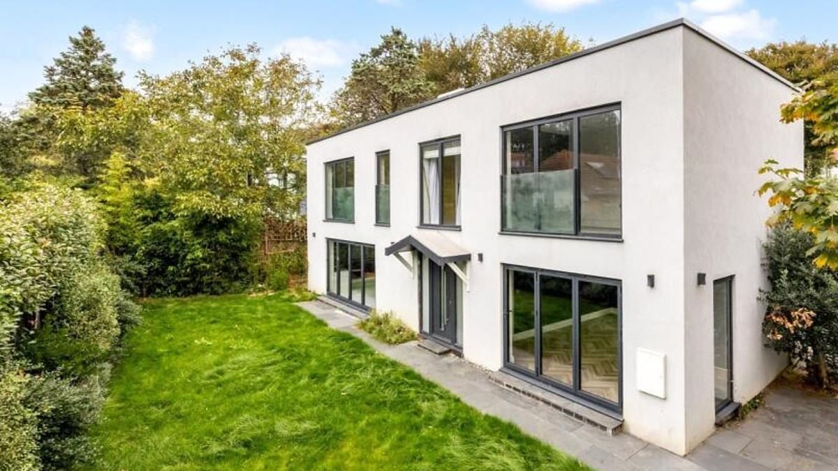 Businessman is told to demolish his ENTIRE £1.2m home - after building a basement without permission