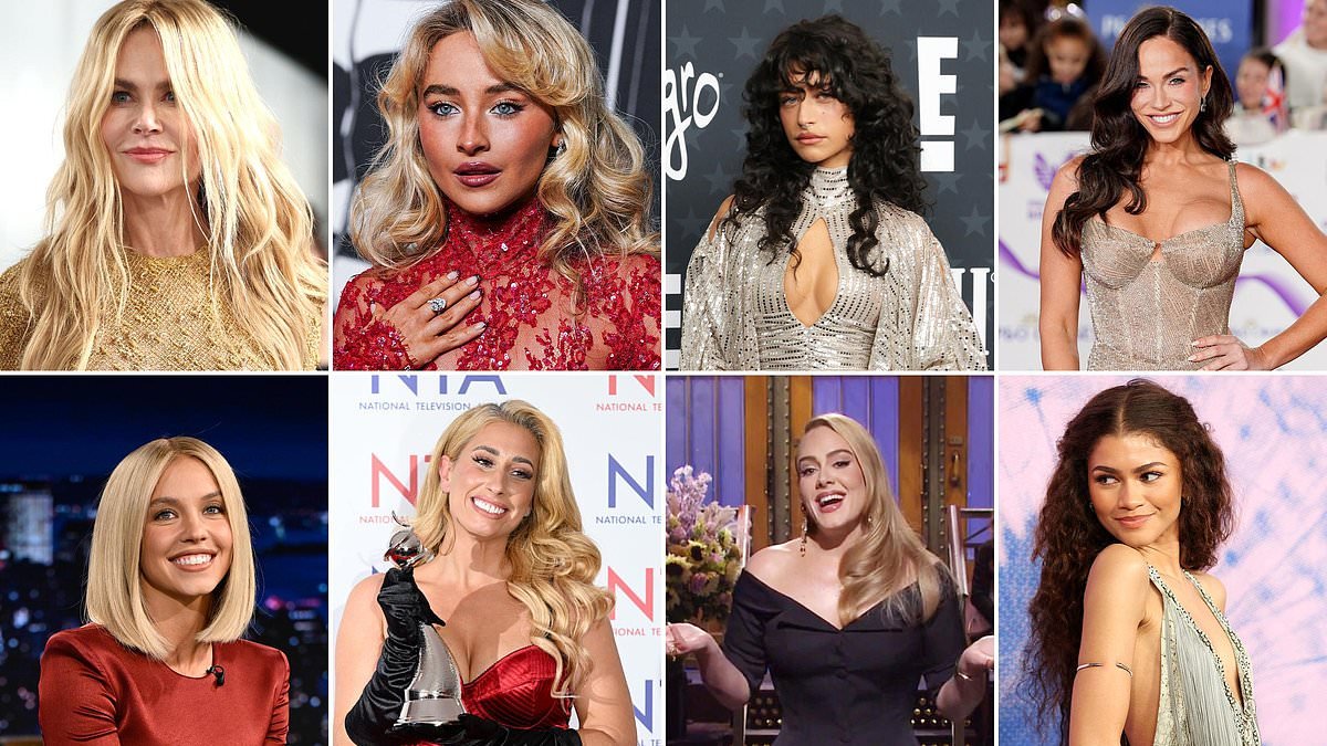 Can YOU tell which A-lister's hair is real and who is wearing a wig? Experts reveal the celebs with natural locks