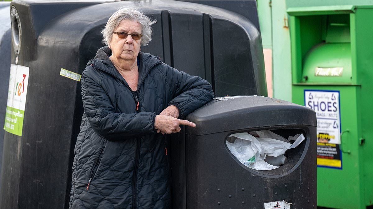 Another fine mess! Now they are punishing grannies for 'fly-tipping' while criminal gangs get away with it: RICHARD LITTLEJOHN