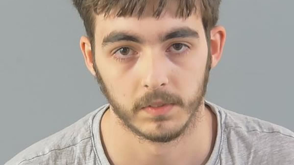 Mother of girl groomed through online game Roblox warns about risks to children as 'calculating' abuser is jailed for 28 months