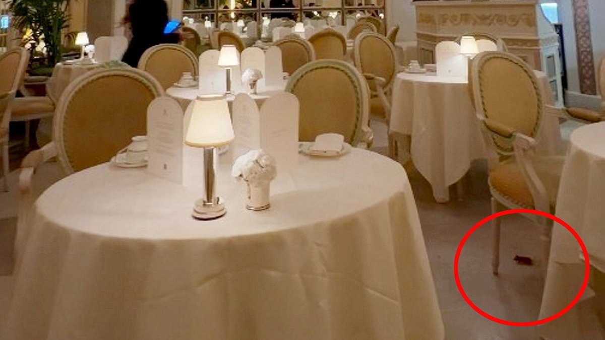 Putting off the Ritz! Afternoon tea diners are stunned to see MOUSE scurrying through five-star hotel's world famous restaurant
