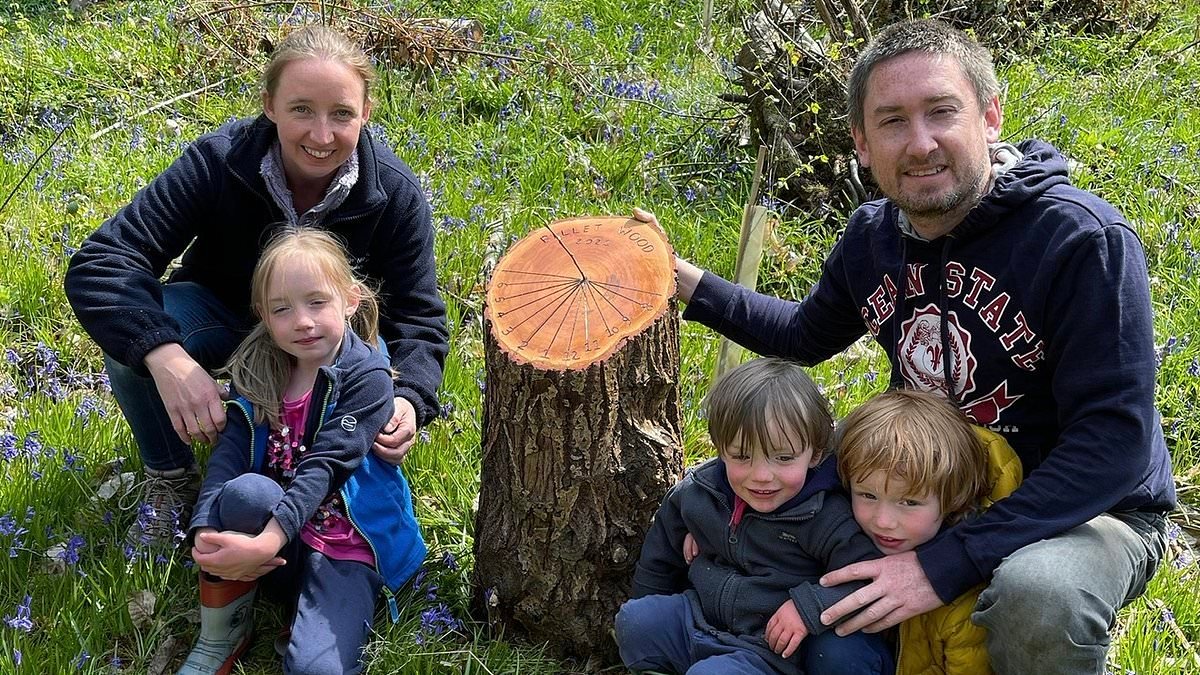 Family who bought an English woodland for £45,000 reveal why it's been 'a terrible investment'