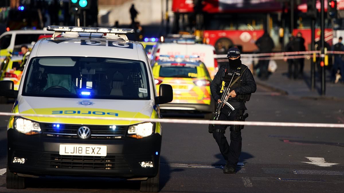 Award-winning police detective who was one of the first on scene of London Bridge terror attack is sacked for joking about travellers on WhatsApp