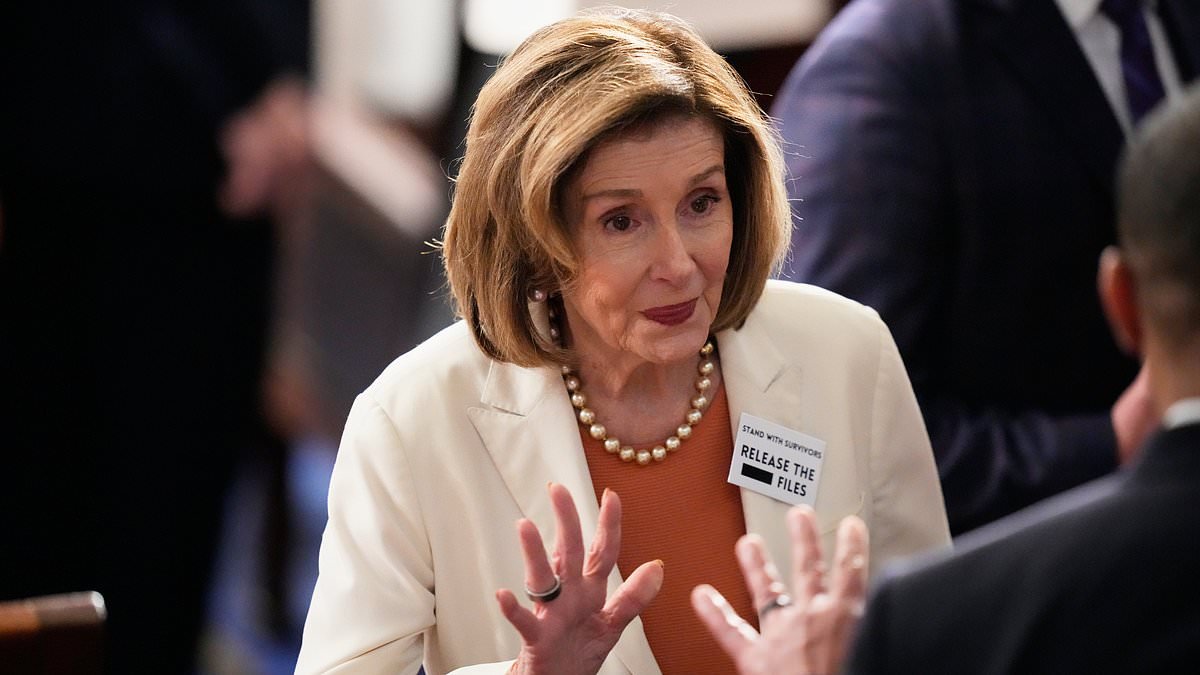 Trump mercilessly mocks Nancy Pelosi over insider trading allegations... and even the Democrats agree