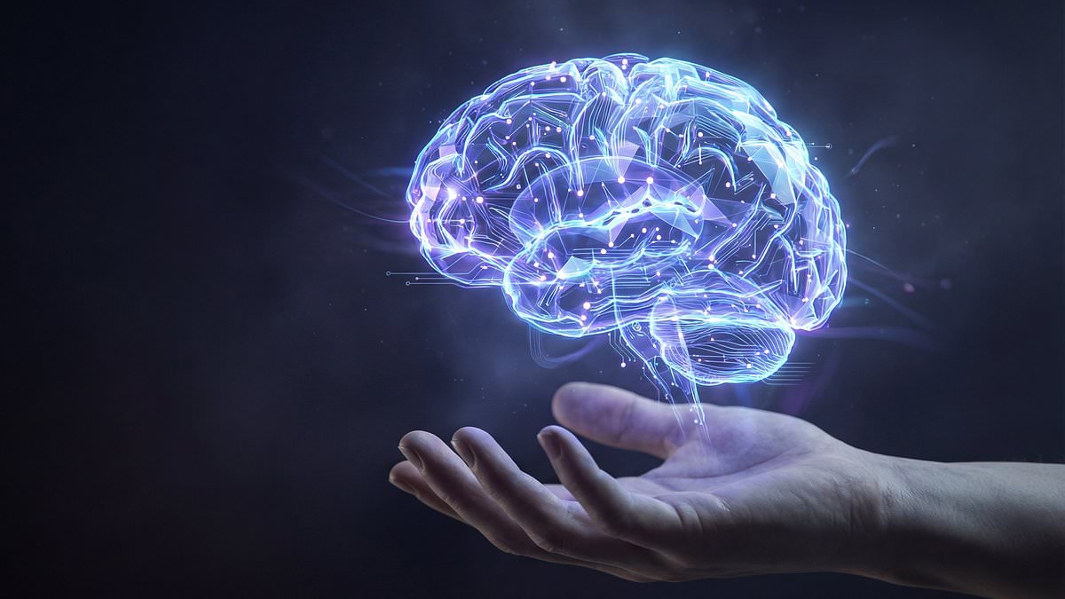 Are your memories merely illusions? Scientist claims recollections arise from random fluctuations rather than your actual past