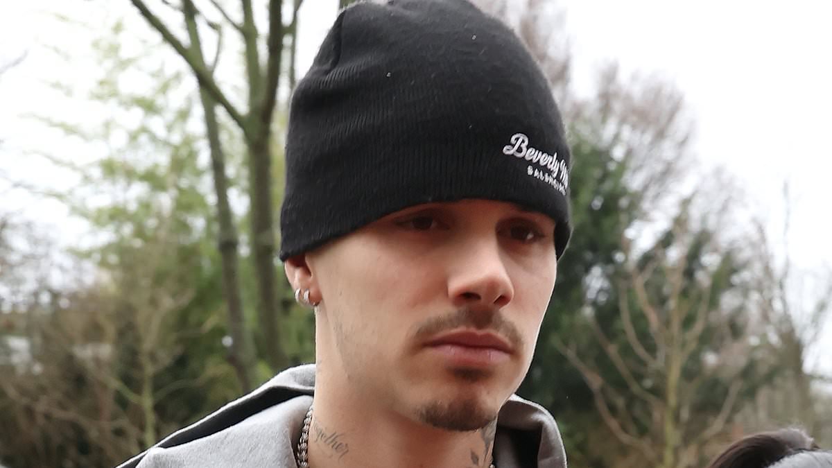 Romeo Beckham 'likes' post about how 'Nicola Peltz is the problem' as pop culture influencer claims David and Victoria are 'trying to rescue their son' amid bitter feud