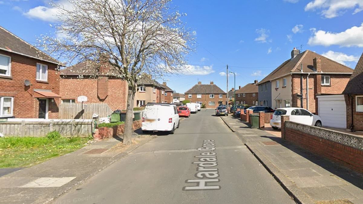 Three-month-old baby girl is mauled to death by 'bully breed' dog while 'being looked after by a friend' - as man, 45, is arrested