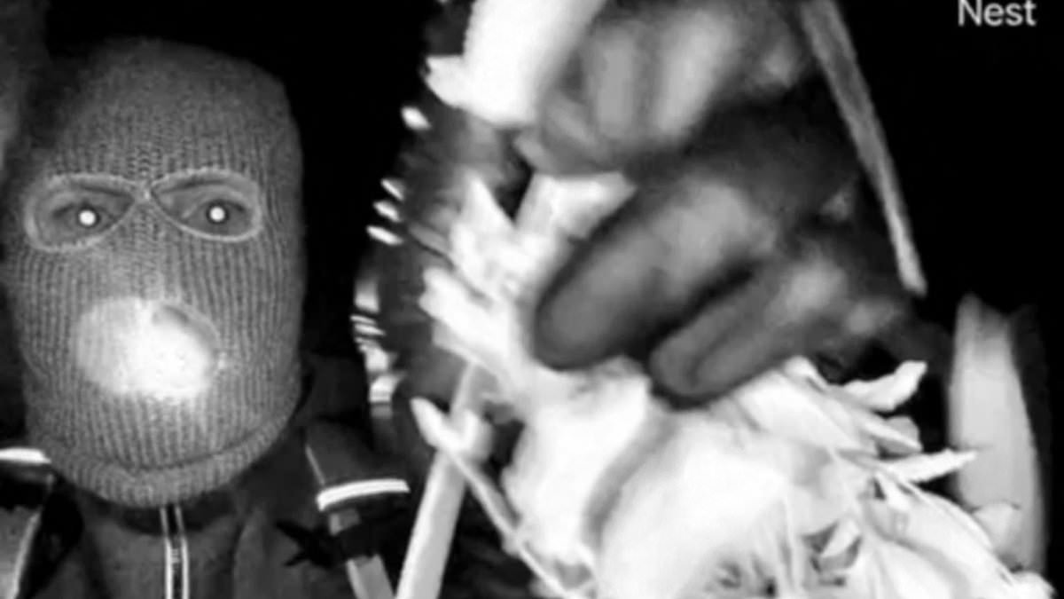 Nancy Guthrie may have KNOWN her abductor: Ex-FBI profilers offer terrifying new details about masked man behind kidnapping