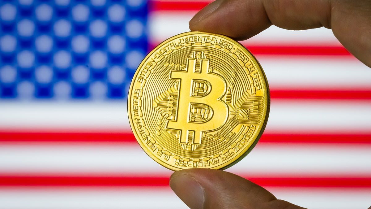 Panic as Bitcoin crisis escalates as value plunges in half and crypto geeks see entire fortunes vanish… or worse