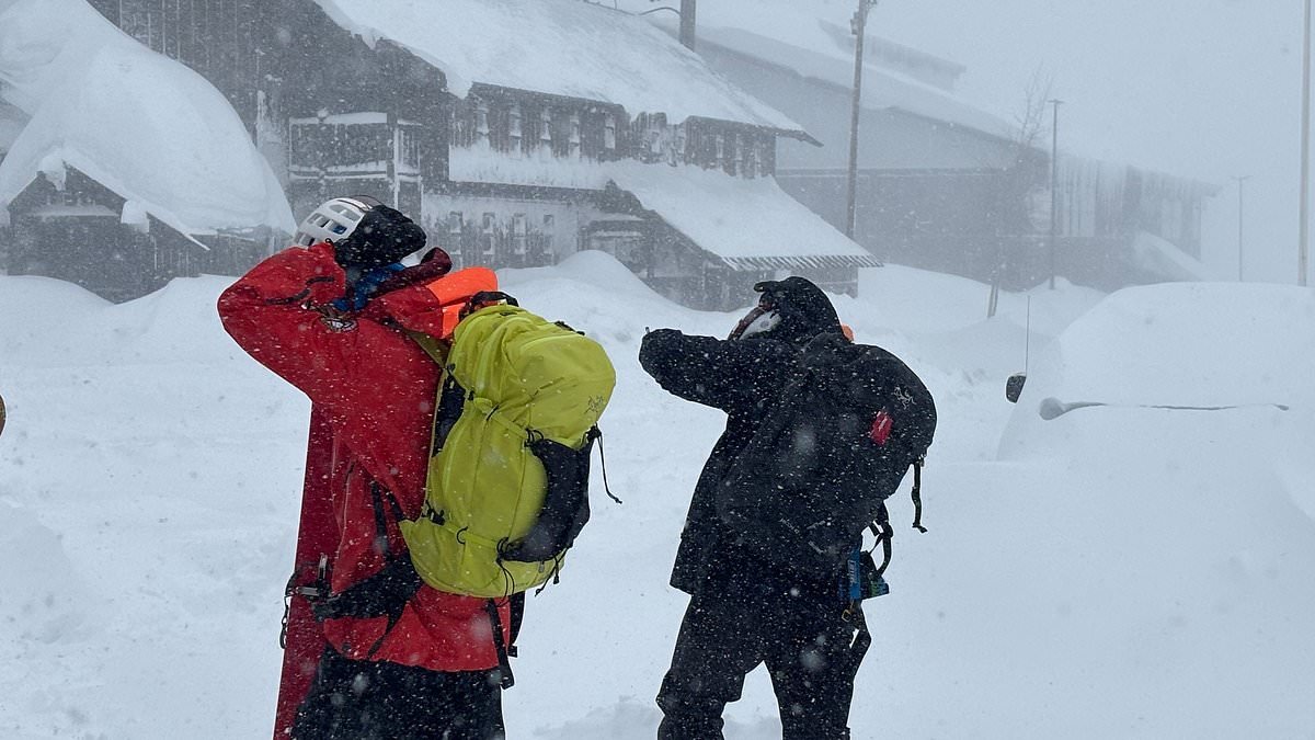Victims of avalanche that killed nine people were wearing special 'airbag' backpacks that failed to activate