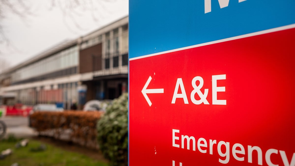 Corridor care is an 'inevitability' in NHS hospitals as A&Es have twice as many patients as bays with some waiting 16 days for a bed on a ward