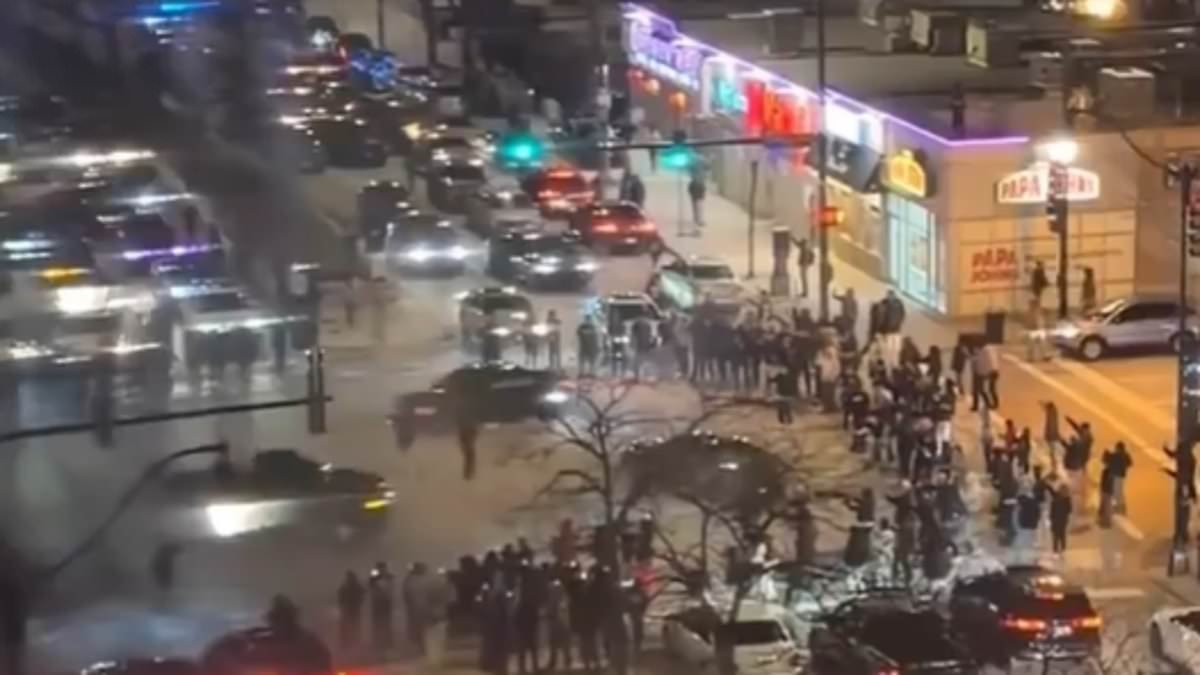 Horrified tourists visiting Chicago confronted by nightmarish Mad Max scene unfolding outside window of their Hampton Inn hotel room