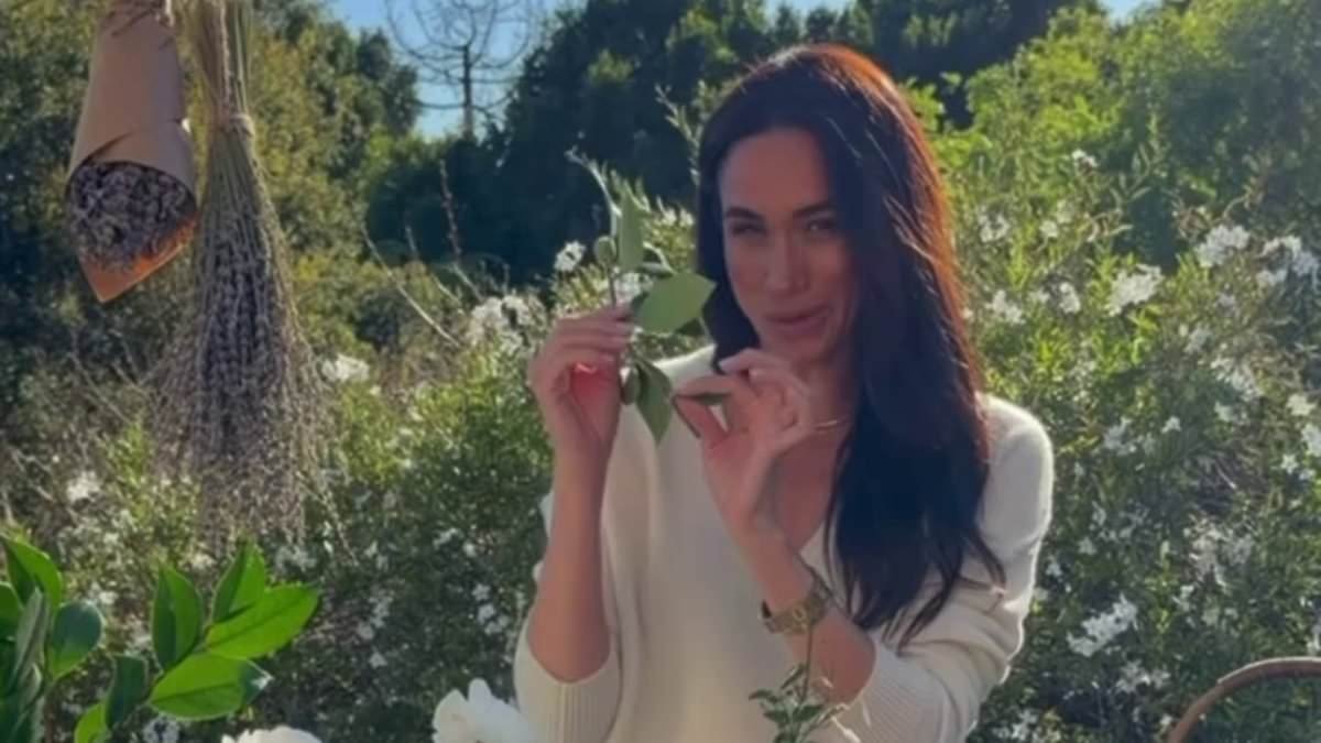 Meghan Markle shows off her 'complicated' floral arrangement in new promo for £191 As Ever tea box