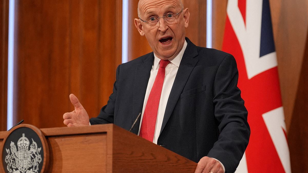 Defence Secretary admits he would like more money to defend Britain after Russia's brazen display of military strength in the English Channel