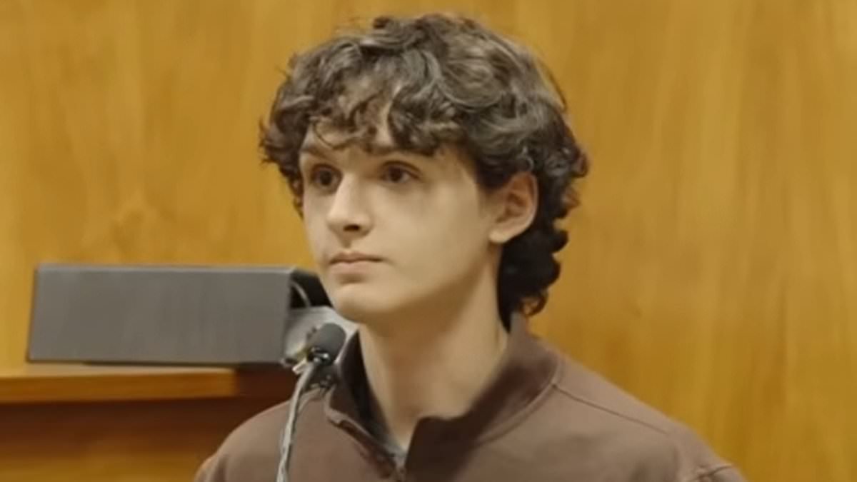 Son hints he's DISOWNED Hawaii doctor dad and undermines his excuse for trying to push nuclear engineer wife off cliff after discovering her infidelity