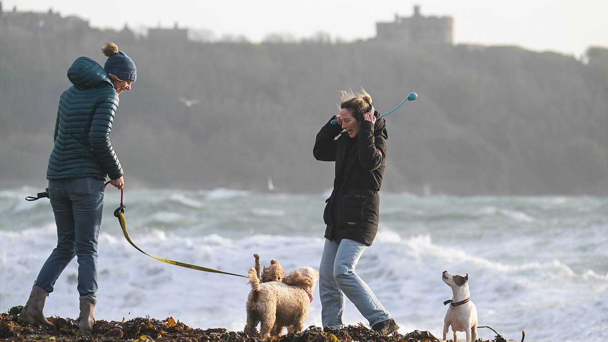 Storm Ingrid hits Britain with 60mph gusts, heavy rain and strong waves with 200 flood alerts activated and rail lines shut