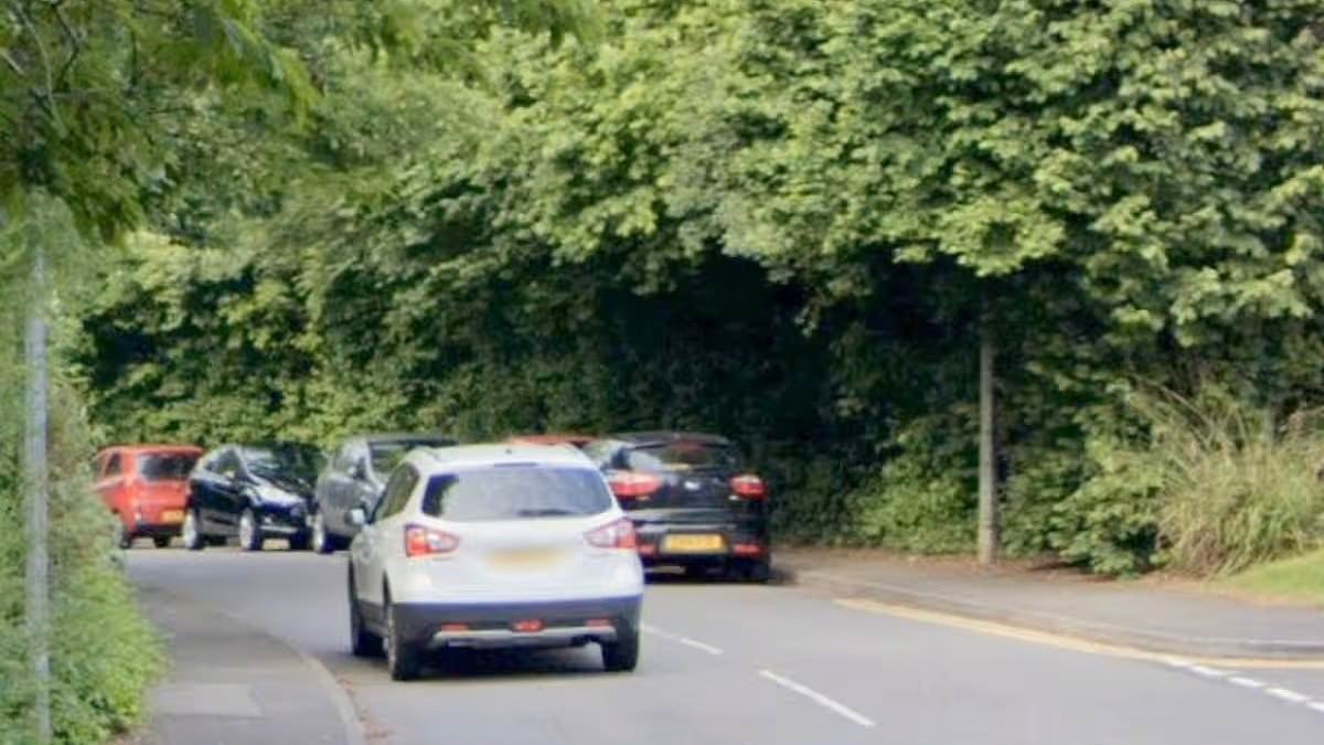 Police make arrest after 'attempted kidnap' of 18-year-old girl who was 'followed by man off bus'