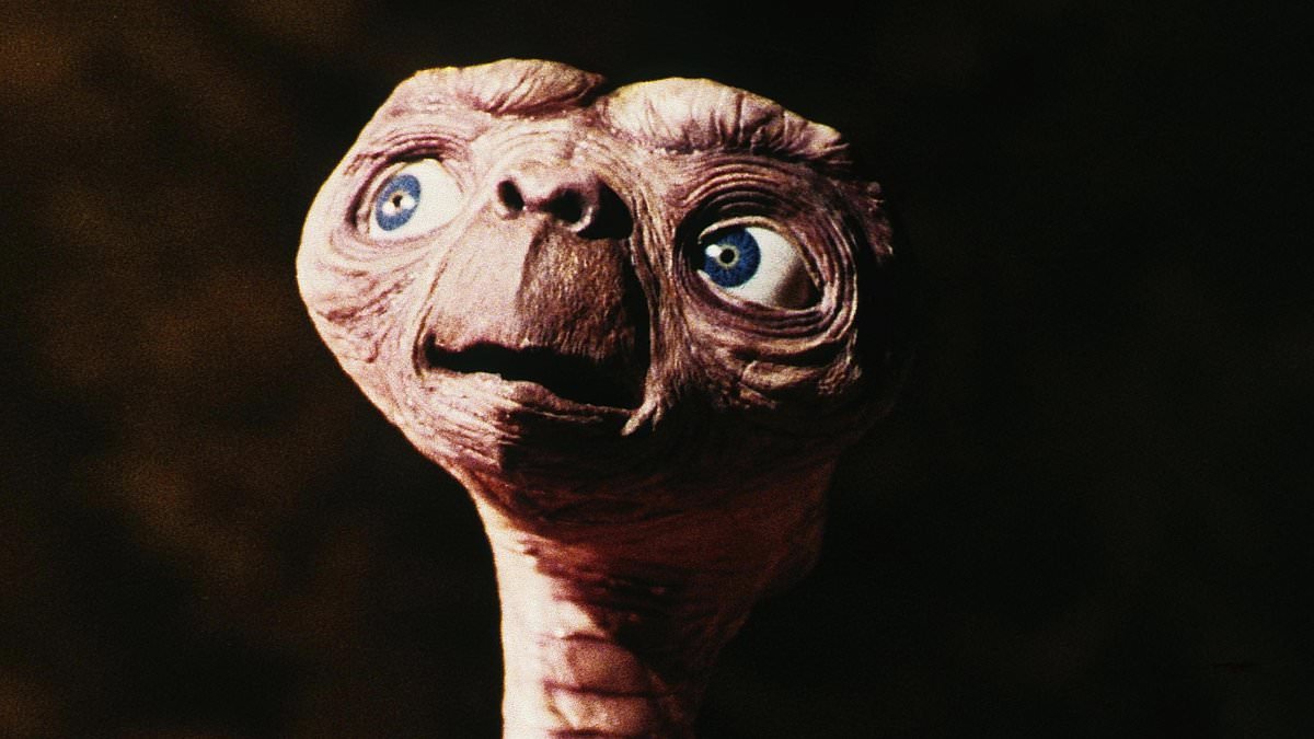 ET exists! Ninety-five per cent of educated people believe in alien life... they just won't admit it to their friends and family